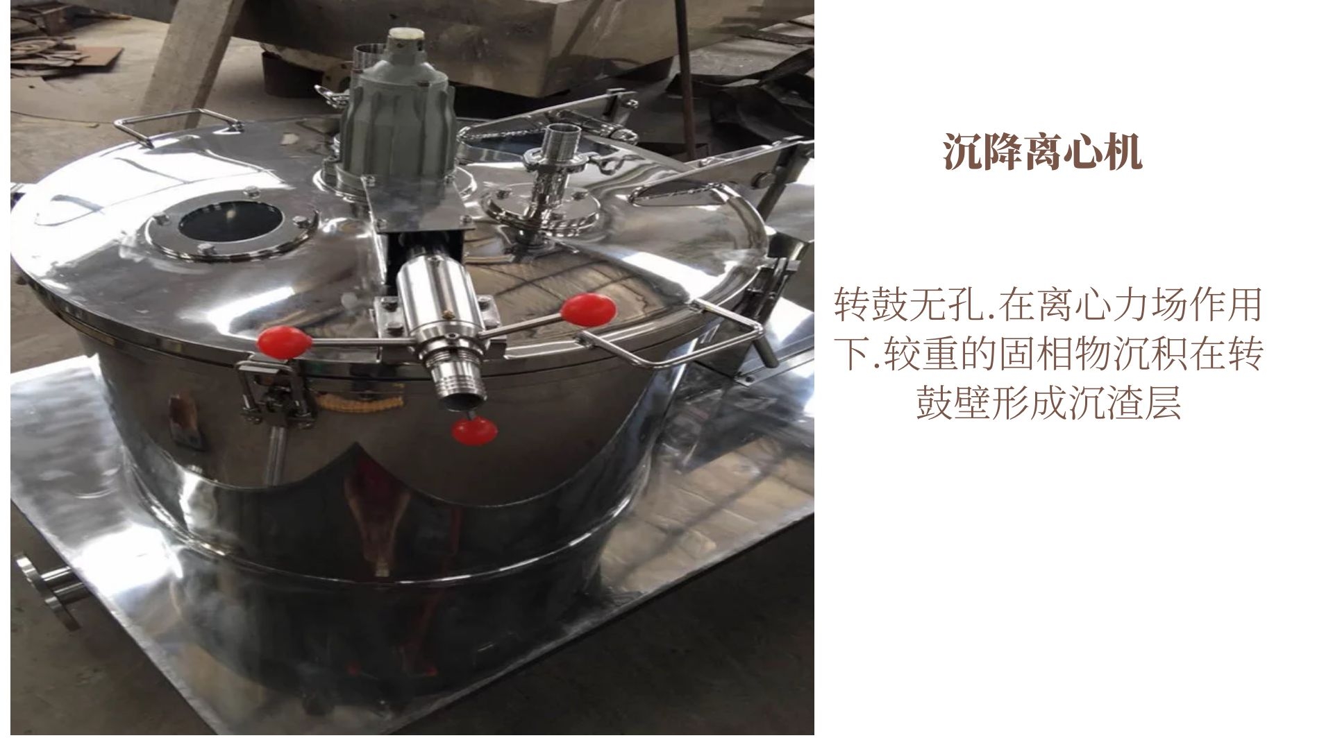 圖怪獸_4_cad09a69a6e41562bc6a6d80c87f4ede_31052_4.jpg
